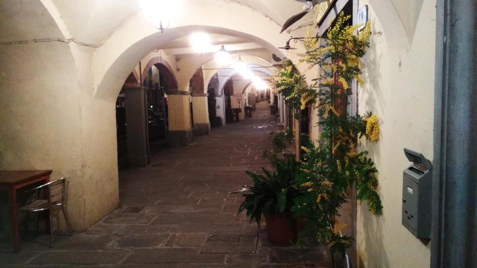 Апартаменты Il Nido Nel Chianti Греве-ин-Кьянти Экстерьер фото